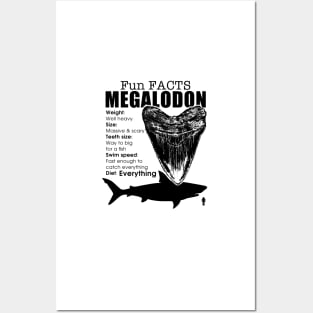 Fun Facts Megalodon Posters and Art